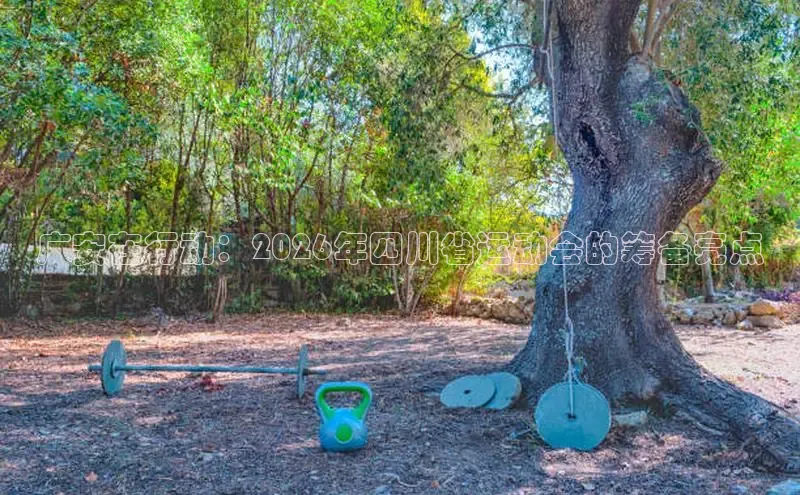 XC体育