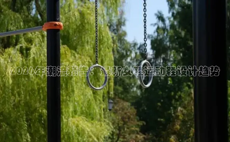 XC体育