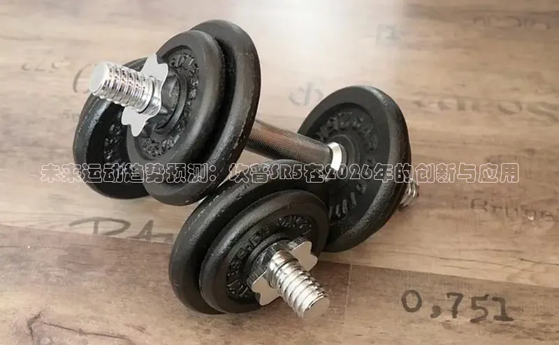 XCsport体育网页